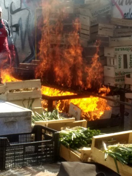 Veggie Barbecue 2